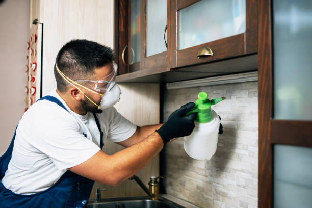 Best Fumigation Services  in Moline, IL